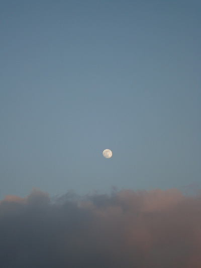 IMG_000327.jpg ( 18 KB )