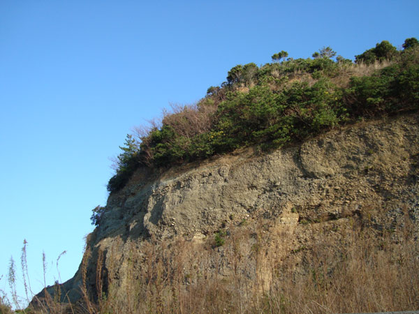IMG_000338.jpg ( 73 KB )